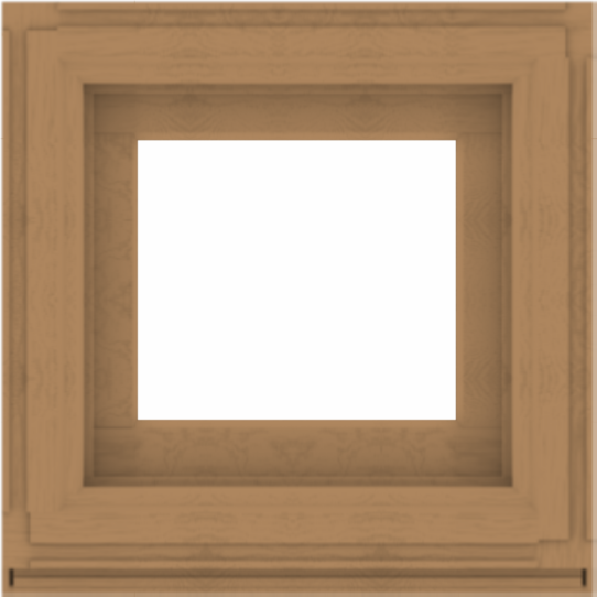 WDMA 24x24 (23.5 x 23.5 inch) Composite Wood Aluminum-Clad Picture Window without Grids-1