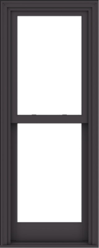 ESWDA 24x60 (23.5 x 59.5 inch) Aluminum Single Double Hung Window with ...