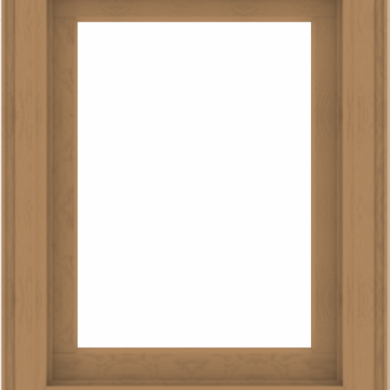 WDMA 28x36 (27.5 x 35.5 inch) Composite Wood Aluminum-Clad Picture Window without Grids-1