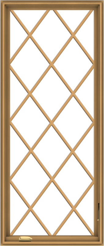 WDMA 28x66 (27.5 x 65.5 inch) Pine Wood Dark Grey Aluminum Crank out Casement Window without Grids with Diamond Grills