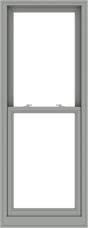 WDMA 28x72 (27.5 x 71.5 inch)  Aluminum Single Double Hung Window without Grids-1