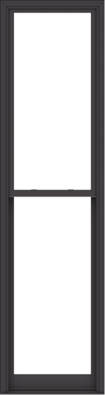 WDMA 32x120 (31.5 x 119.5 inch)  Aluminum Single Hung Double Hung Window without Grids-3
