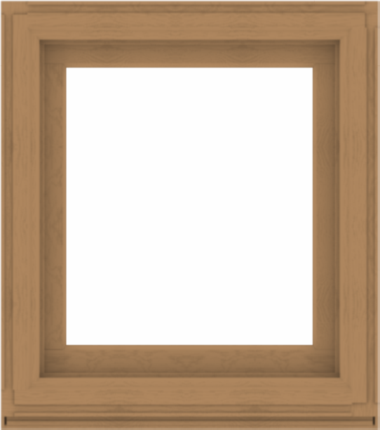 WDMA 32x36 (31.5 x 35.5 inch) Composite Wood Aluminum-Clad Picture Window without Grids-1