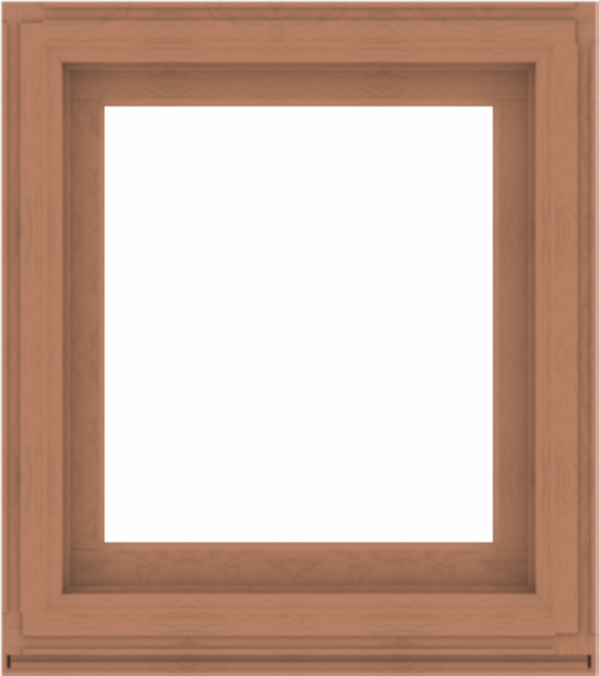 WDMA 32x36 (31.5 x 35.5 inch) Composite Wood Aluminum-Clad Picture Window without Grids-4