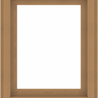 WDMA 32x40 (31.5 x 39.5 inch) Composite Wood Aluminum-Clad Picture Window without Grids-1