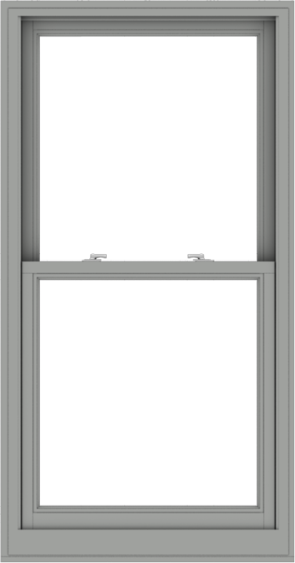 WDMA 32x61 (31.5 x 60.5 inch)  Aluminum Single Double Hung Window without Grids-1