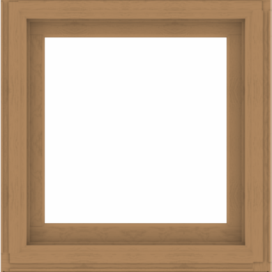 WDMA 34x36 (33.5 x 35.5 inch) Composite Wood Aluminum-Clad Picture Window without Grids-1