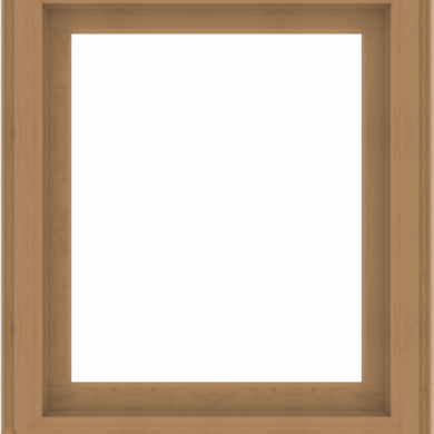 WDMA 34x40 (33.5 x 39.5 inch) Composite Wood Aluminum-Clad Picture Window without Grids-1