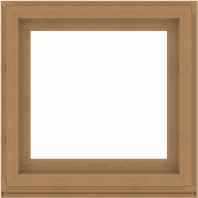 WDMA 36x36 (35.5 x 35.5 inch) Composite Wood Aluminum-Clad Picture Window without Grids-1