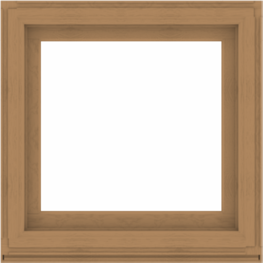 WDMA 36x36 (35.5 x 35.5 inch) Composite Wood Aluminum-Clad Picture Window without Grids-1