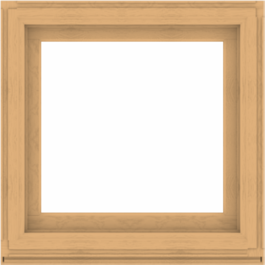 WDMA 36x36 (35.5 x 35.5 inch) Composite Wood Aluminum-Clad Picture Window without Grids-3