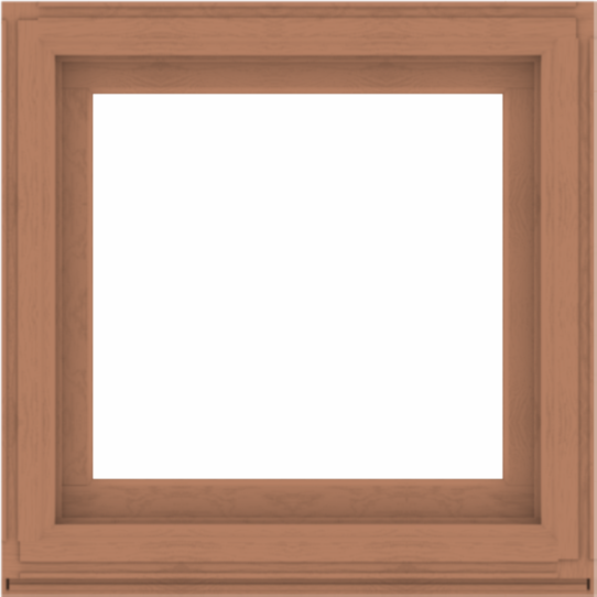 WDMA 36x36 (35.5 x 35.5 inch) Composite Wood Aluminum-Clad Picture Window without Grids-4