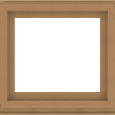 WDMA 38x36 (37.5 x 35.5 inch) Composite Wood Aluminum-Clad Picture Window without Grids-1