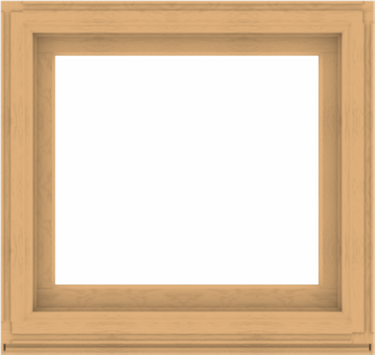 WDMA 38x36 (37.5 x 35.5 inch) Composite Wood Aluminum-Clad Picture Window without Grids-3
