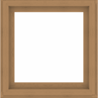 WDMA 38x40 (37.5 x 39.5 inch) Composite Wood Aluminum-Clad Picture Window without Grids-1