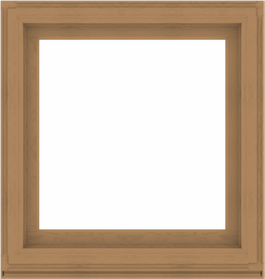 WDMA 38x40 (37.5 x 39.5 inch) Composite Wood Aluminum-Clad Picture Window without Grids-1