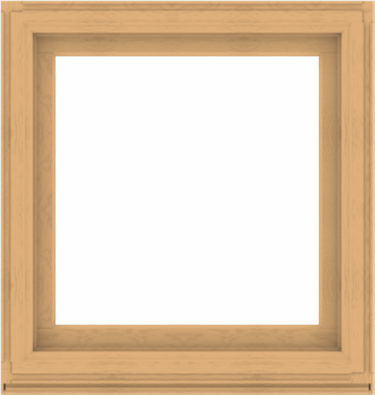 WDMA 38x40 (37.5 x 39.5 inch) Composite Wood Aluminum-Clad Picture Window without Grids-3