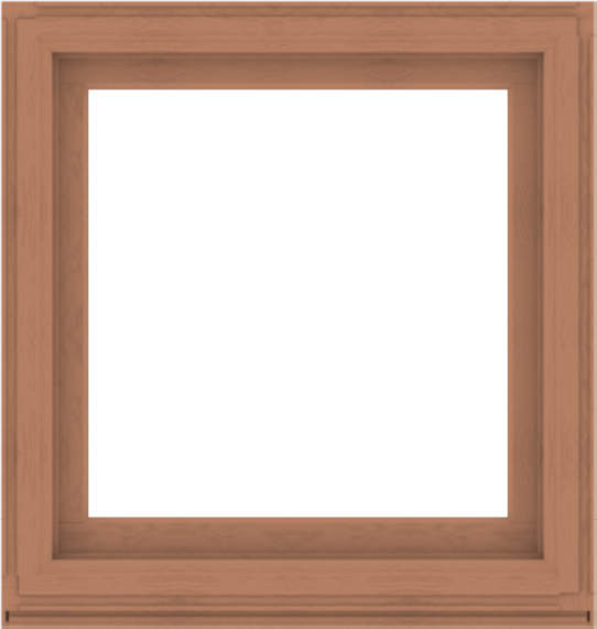 WDMA 38x40 (37.5 x 39.5 inch) Composite Wood Aluminum-Clad Picture Window without Grids-4