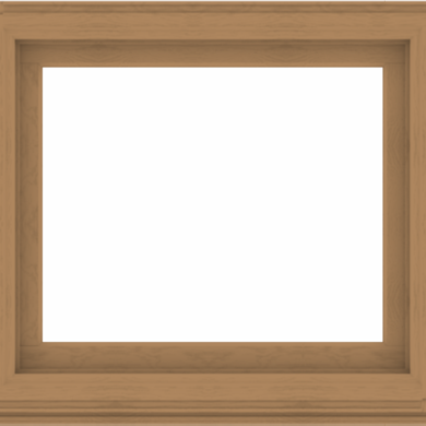 WDMA 40x36 (39.5 x 35.5 inch) Composite Wood Aluminum-Clad Picture Window without Grids-1