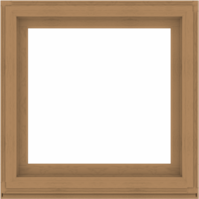 WDMA 40x40 (39.5 x 39.5 inch) Composite Wood Aluminum-Clad Picture Window without Grids-1