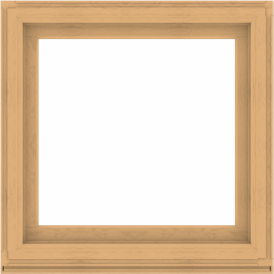 WDMA 40x40 (39.5 x 39.5 inch) Composite Wood Aluminum-Clad Picture Window without Grids-3