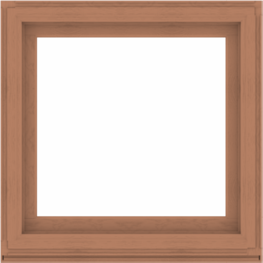 WDMA 40x40 (39.5 x 39.5 inch) Composite Wood Aluminum-Clad Picture Window without Grids-4