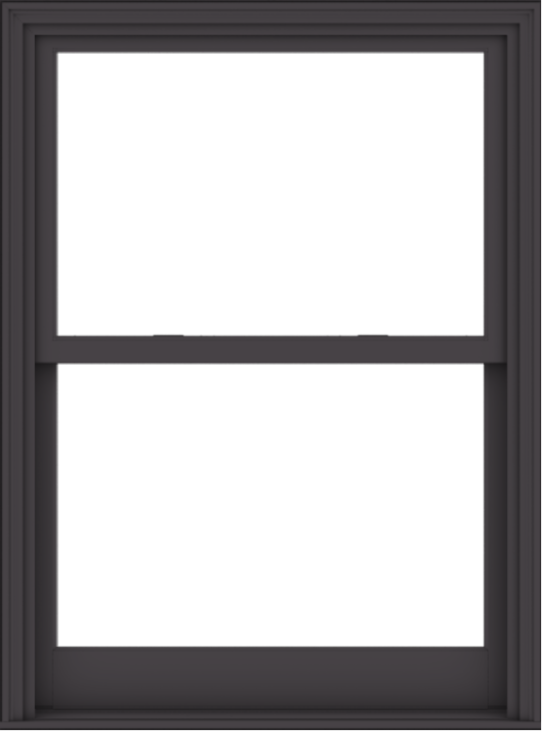 WDMA 40x54 (39.5 x 53.5 inch)  Aluminum Single Hung Double Hung Window without Grids-3