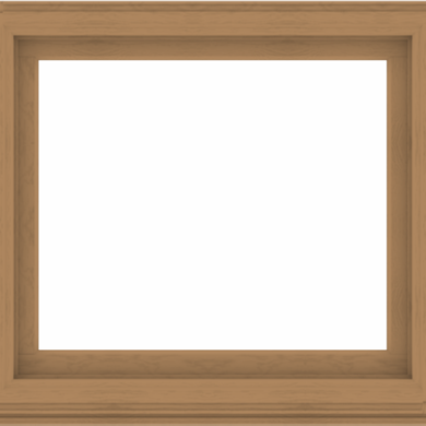 WDMA 44x40 (43.5 x 39.5 inch) Composite Wood Aluminum-Clad Picture Window without Grids-1