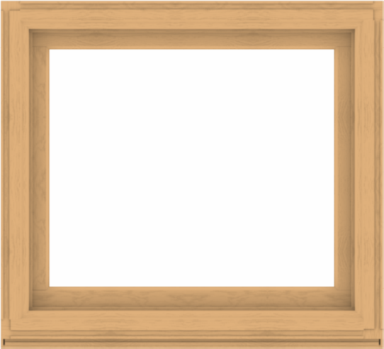 WDMA 44x40 (43.5 x 39.5 inch) Composite Wood Aluminum-Clad Picture Window without Grids-3