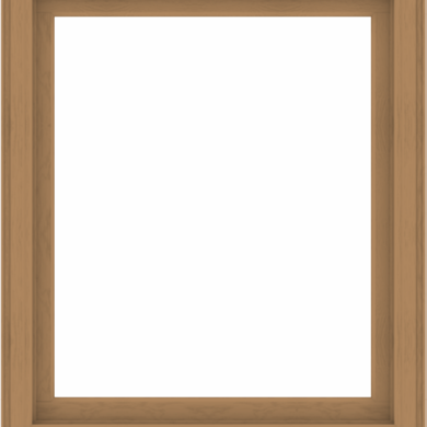 WDMA 44x52 (43.5 x 51.5 inch) Composite Wood Aluminum-Clad Picture Window without Grids-1