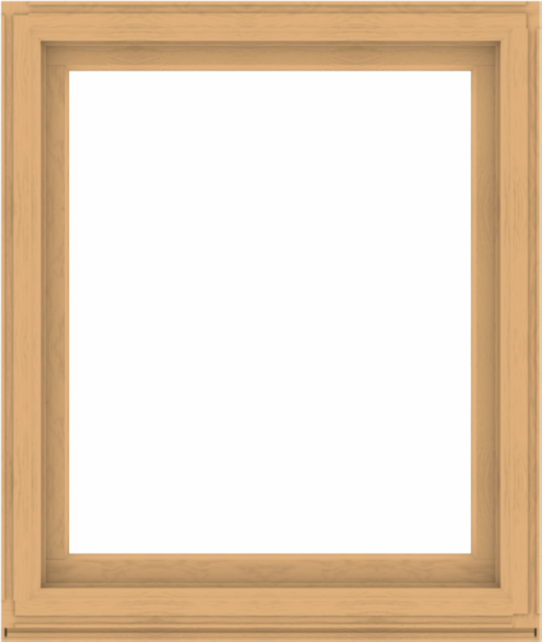 WDMA 44x52 (43.5 x 51.5 inch) Composite Wood Aluminum-Clad Picture Window without Grids-3