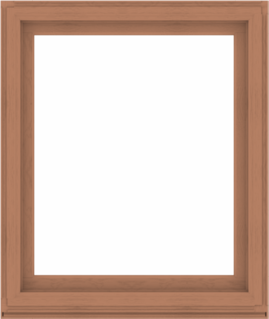 WDMA 44x52 (43.5 x 51.5 inch) Composite Wood Aluminum-Clad Picture Window without Grids-4