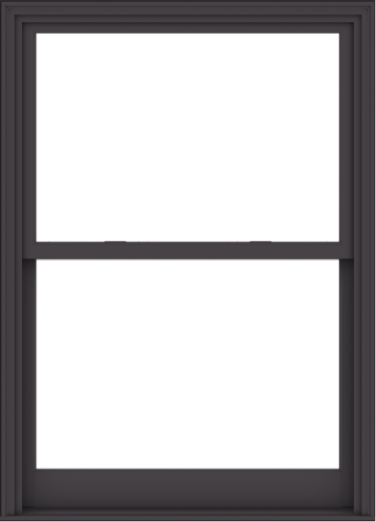 WDMA 44x61 (43.5 x 60.5 inch)  Aluminum Single Hung Double Hung Window without Grids-3