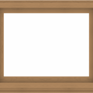WDMA 48x40 (47.5 x 39.5 inch) Composite Wood Aluminum-Clad Picture Window without Grids-1
