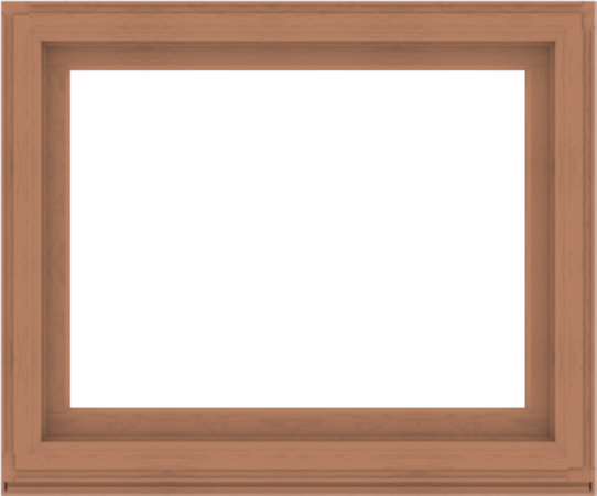 WDMA 48x40 (47.5 x 39.5 inch) Composite Wood Aluminum-Clad Picture Window without Grids-4