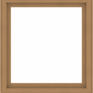 WDMA 48x52 (47.5 x 51.5 inch) Composite Wood Aluminum-Clad Picture Window without Grids-1