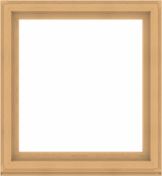 WDMA 48x52 (47.5 x 51.5 inch) Composite Wood Aluminum-Clad Picture Window without Grids-3