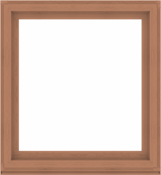 WDMA 48x52 (47.5 x 51.5 inch) Composite Wood Aluminum-Clad Picture Window without Grids-4