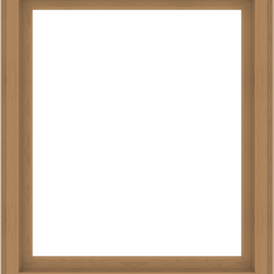 WDMA 48x56 (47.5 x 55.5 inch) Composite Wood Aluminum-Clad Picture Window without Grids-1