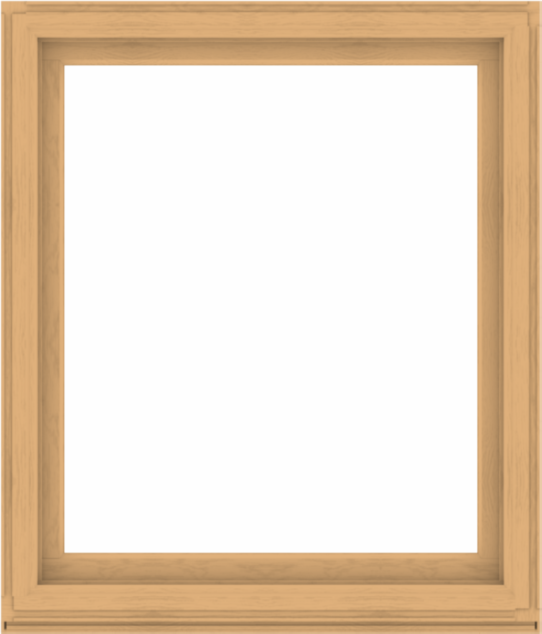 WDMA 48x56 (47.5 x 55.5 inch) Composite Wood Aluminum-Clad Picture Window without Grids-3