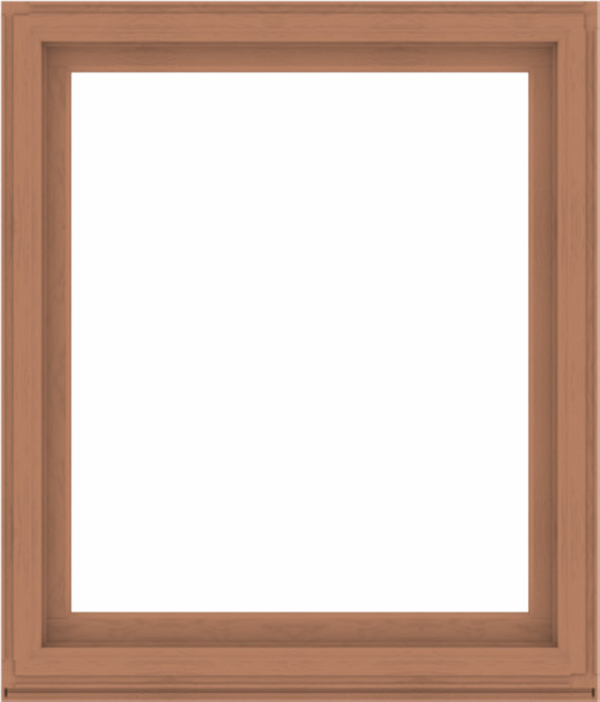 WDMA 48x56 (47.5 x 55.5 inch) Composite Wood Aluminum-Clad Picture Window without Grids-4