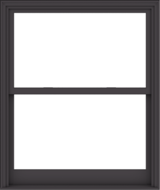 WDMA 48x57 (47.5 x 56.5 inch)  Aluminum Single Hung Double Hung Window without Grids-3