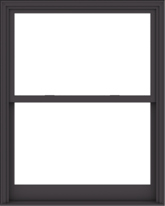 WDMA 48x60 (47.5 x 59.5 inch)  Aluminum Single Hung Double Hung Window without Grids-3