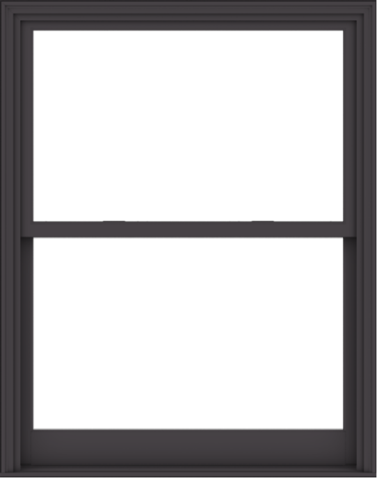 WDMA 48x61 (47.5 x 60.5 inch)  Aluminum Single Hung Double Hung Window without Grids-3