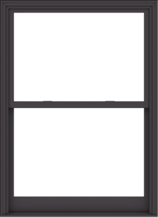 WDMA 48x66 (47.5 x 65.5 inch)  Aluminum Single Hung Double Hung Window without Grids-3