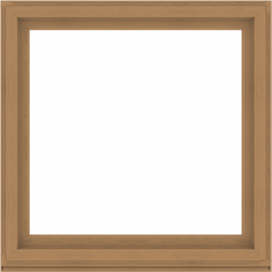 WDMA 52x52 (51.5 x 51.5 inch) Composite Wood Aluminum-Clad Picture Window without Grids-1