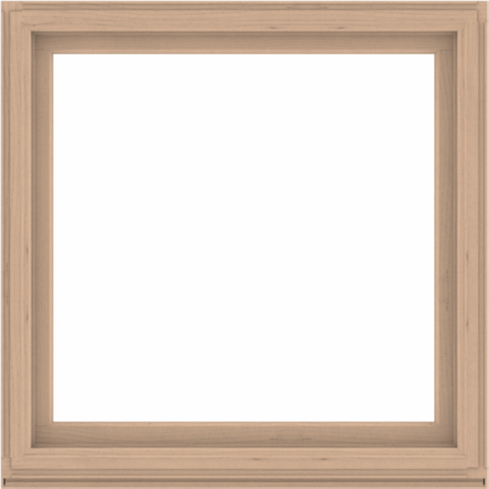 WDMA 52x52 (51.5 x 51.5 inch) Composite Wood Aluminum-Clad Picture Window without Grids-2