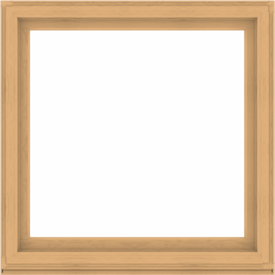 WDMA 52x52 (51.5 x 51.5 inch) Composite Wood Aluminum-Clad Picture Window without Grids-3