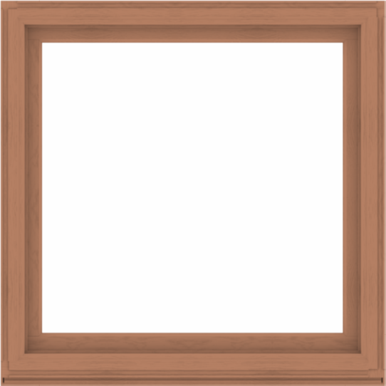 WDMA 52x52 (51.5 x 51.5 inch) Composite Wood Aluminum-Clad Picture Window without Grids-4