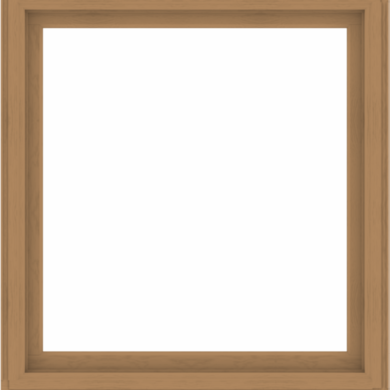 WDMA 52x56 (51.5 x 55.5 inch) Composite Wood Aluminum-Clad Picture Window without Grids-1